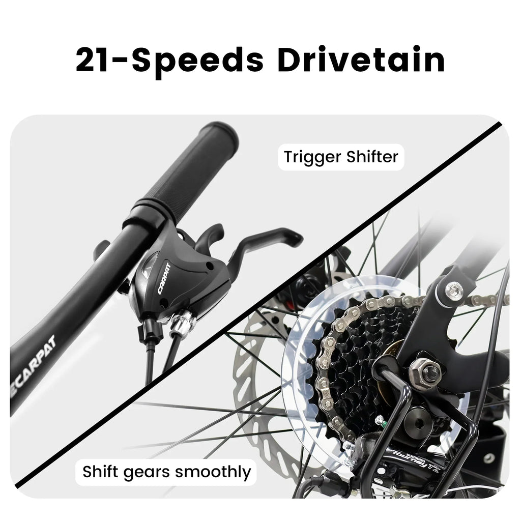24 inch Dual/Front Suspension Mens Womens Mountain Bike,21 Speeds Dual Disc Brake,High-Carbon Steel Frame,Trail Beach Snow Commuter City Bikes,Black